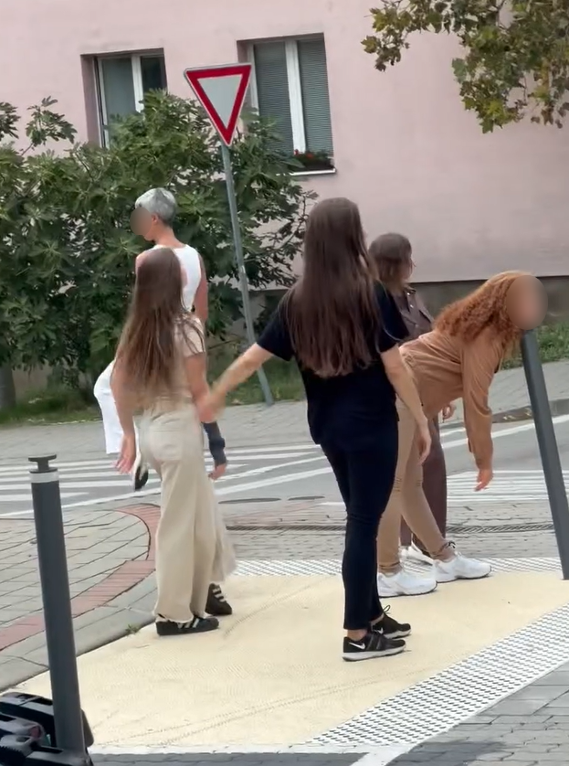 Ich pohyb pripomínal konské klusanie a cval.