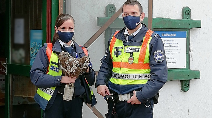 Megmentették a madarat a rendőrök /Fotó:police.hu