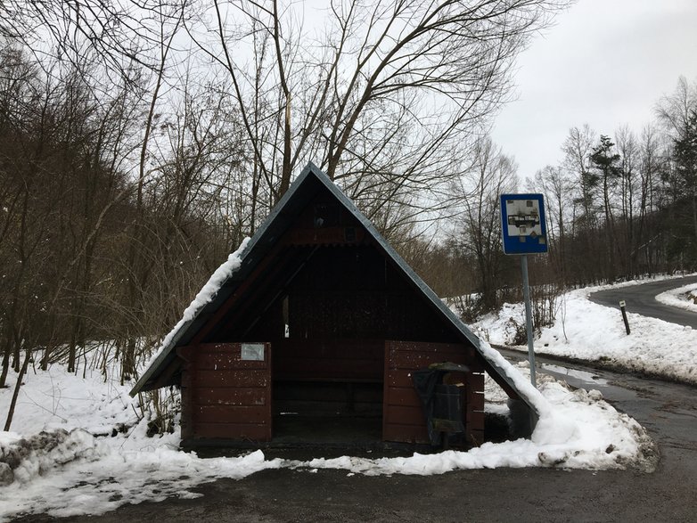 Borówna – stąd odjeżdża jedyny w gminie bus do Krakowa