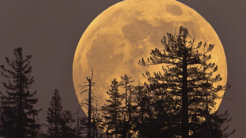 Ap&eacute;ro coucher de soleil et super lune