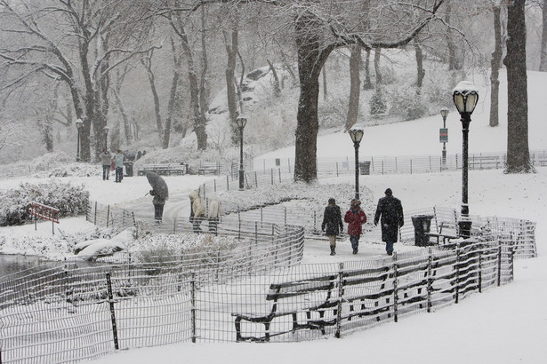 Zimowy krajobraz Central Parku w Nowym Jorku. fot. Bloomberg