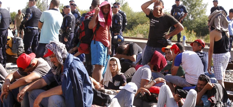 Starcia na granicy Słowenii z Chorwacją. Policja zablokowała przemarsz imigrantów