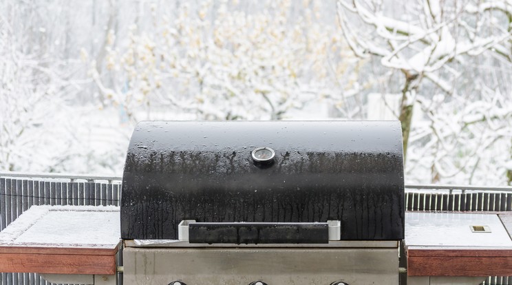 Ilyenkor érdemes inkább fedeles grillt használni /Fotó: Northfoto