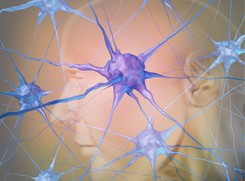 Naukowcy odkryli NEURONY, które odpowiadają za przewlekły STRES