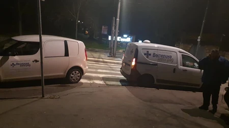 Trovanje pasa na Kalemegdanu