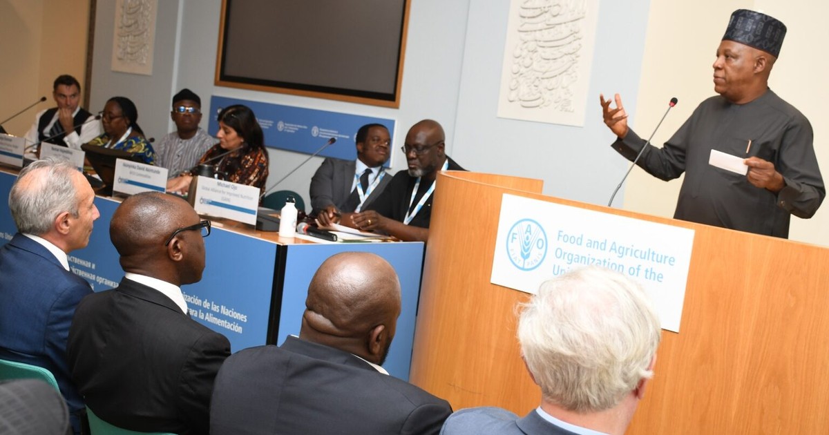 VP Shettima woos foreign investors in UN Food summit - Vimarsana News