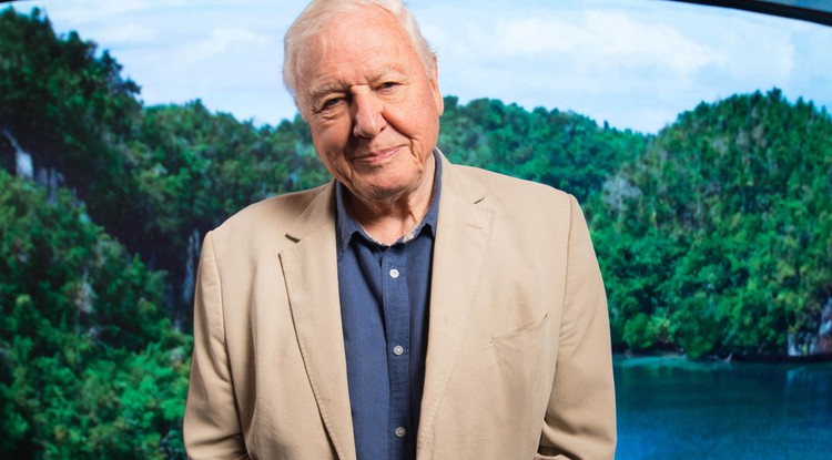 David Attenborough