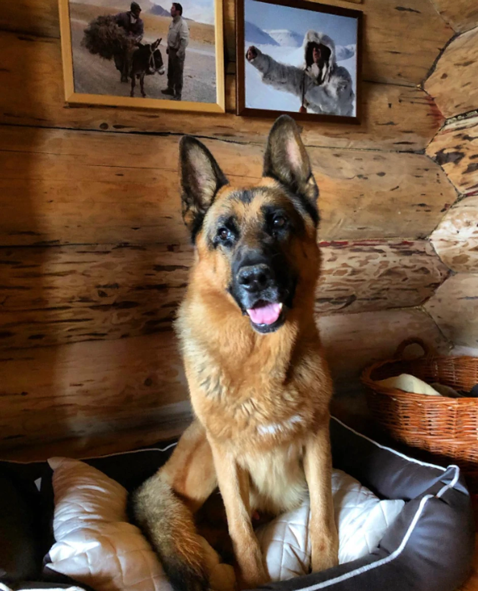 Vikendica Jovana Memedovića