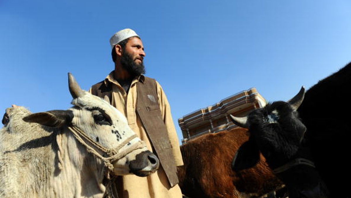 Na zakończenie corocznej pielgrzymki do Mekki muzułmanie na całym świecie obchodzą Święto Ofiar, zwane też Kurban Bajram lub Eid al-Adha. W tym roku święto to rozpoczęło się 6 listopada i trwa trzy kolejne dni.