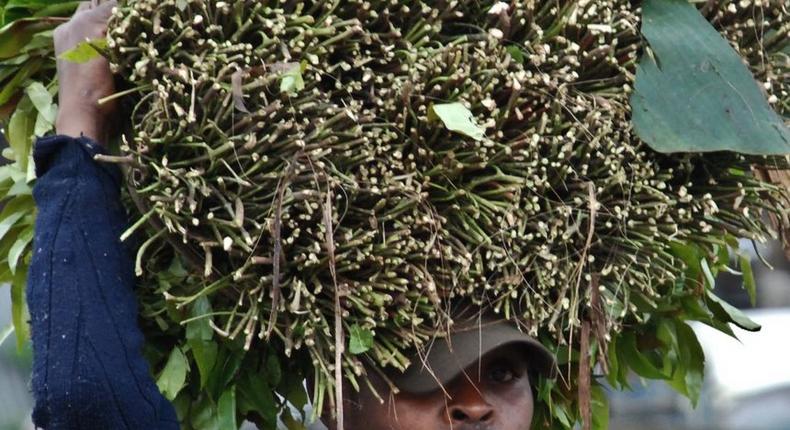 A miraa trade in Maua, Kenya