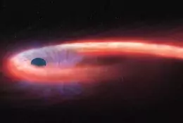 Astronomowie po raz pierwszy dostrzegli czarną dziurę owiniętą gwiazdą