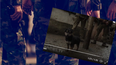 Ukraińscy żołnierze przygarnęli zbłąkanego psa. "Rambo to nasz obrońca"