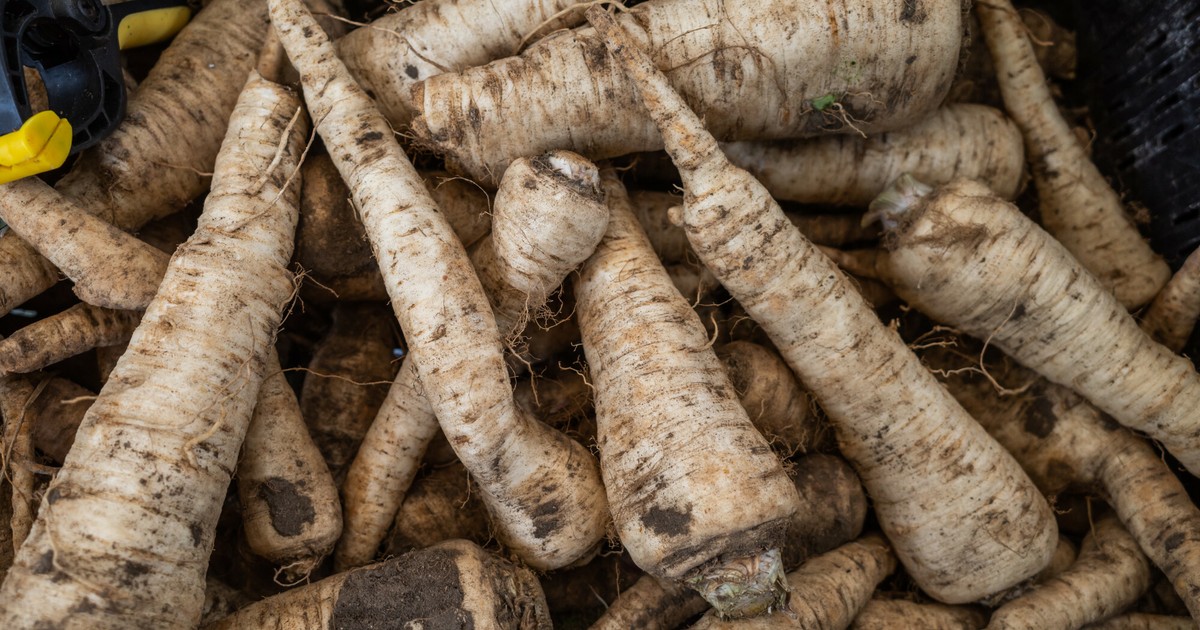 Fake parsley is back on the market.  You have to pay for it as you would for meat