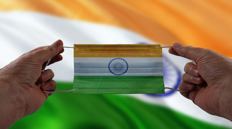 India kormánya szerint nincsen olyan, hogy indiai variáns / Fotó: Pixabay