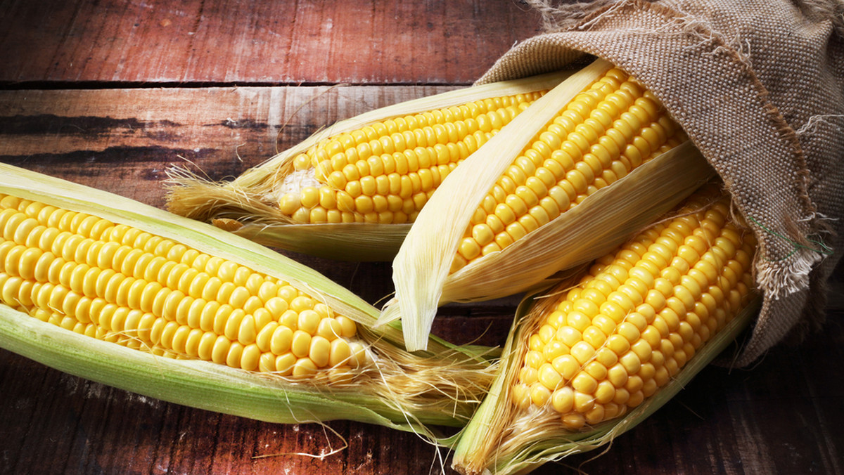 Jak ugotować kukurydzę, żeby była miękka? Najlepsze triki