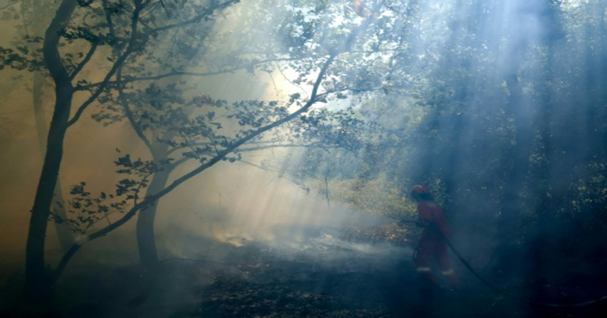 Incendies européens : 4 morts, la Grèce mobilise 4 850 pompiers
