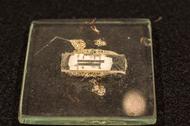 Christie's To Auction 1958 Prototype Of Microchip Used In Nobel-Prize Winning Invention
