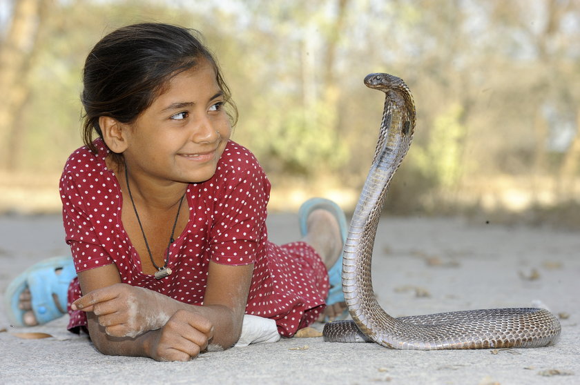 Kajol Khan mała zaklinaczka węży