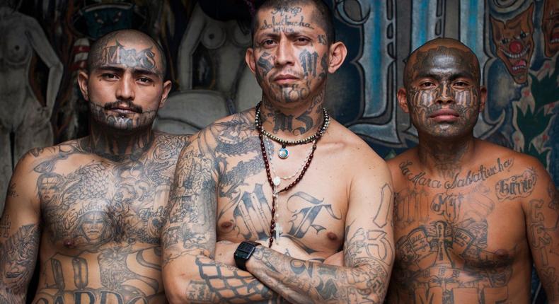 Members of MS-13 