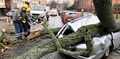 Uwaga na silny wiatr! Złamany konar ranił dwie osoby