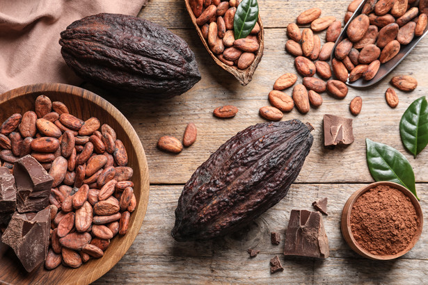 Kakao droższe od miedzi. Cena jest najwyższa w historii