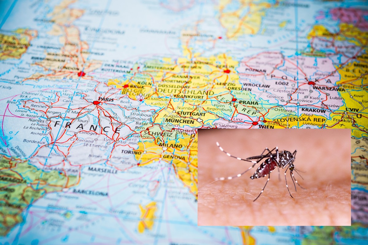 Choroba tropikalna niebawem zadomowi się w Europie