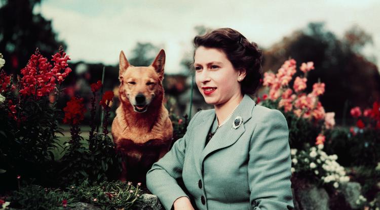 Erzsébet királynő 1952-ben Fotó: Getty Images