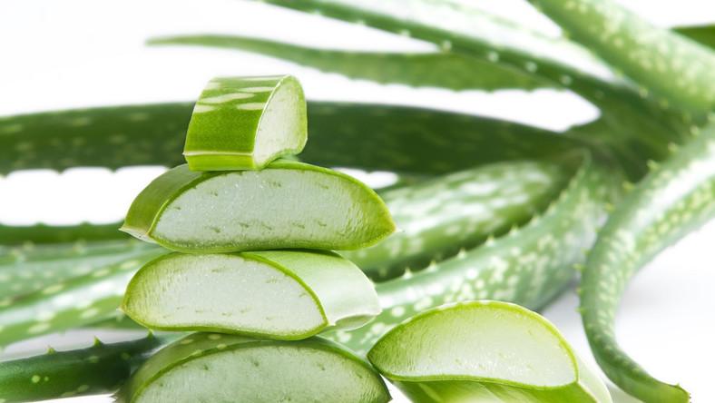 Aloe vera napégésre