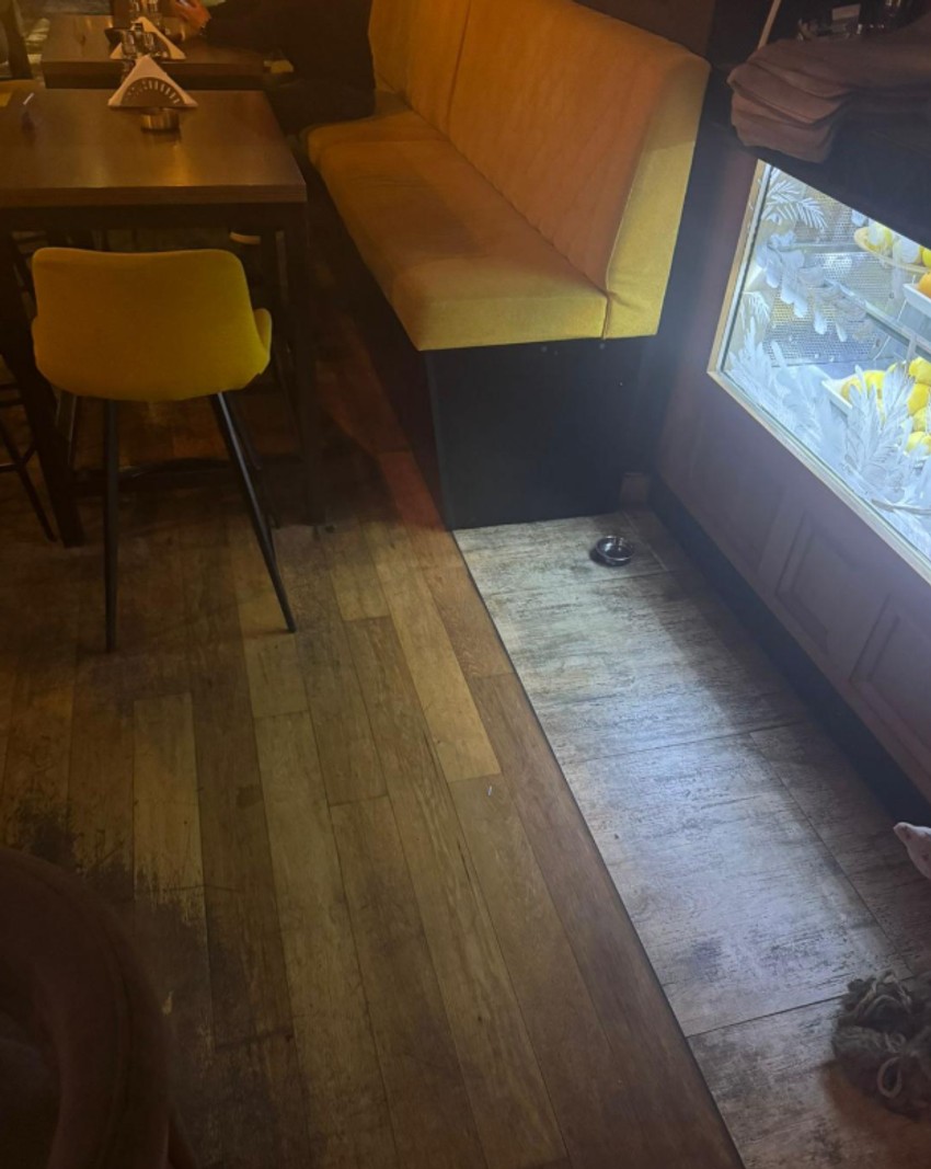 Činija sa vodom za kuče