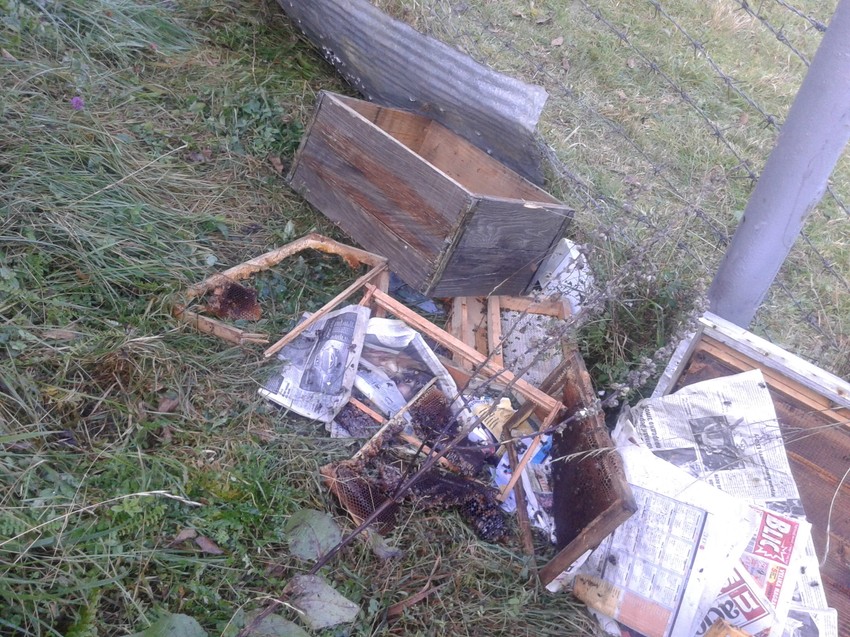 Pustoš koji je medved napravio u pčelinjaku porodice Masal u Vardištu