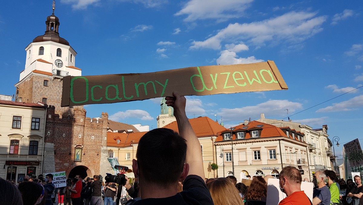 Lublin: protest przeciwko wycince drzew