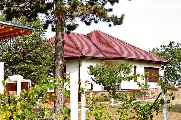 (FOTO) VELIKI BAZEN U DVORIŠTU I VINOVA LOZA Imanje našeg najpoznatijeg glumačkog para nadomak Beograda je raj u prirodi