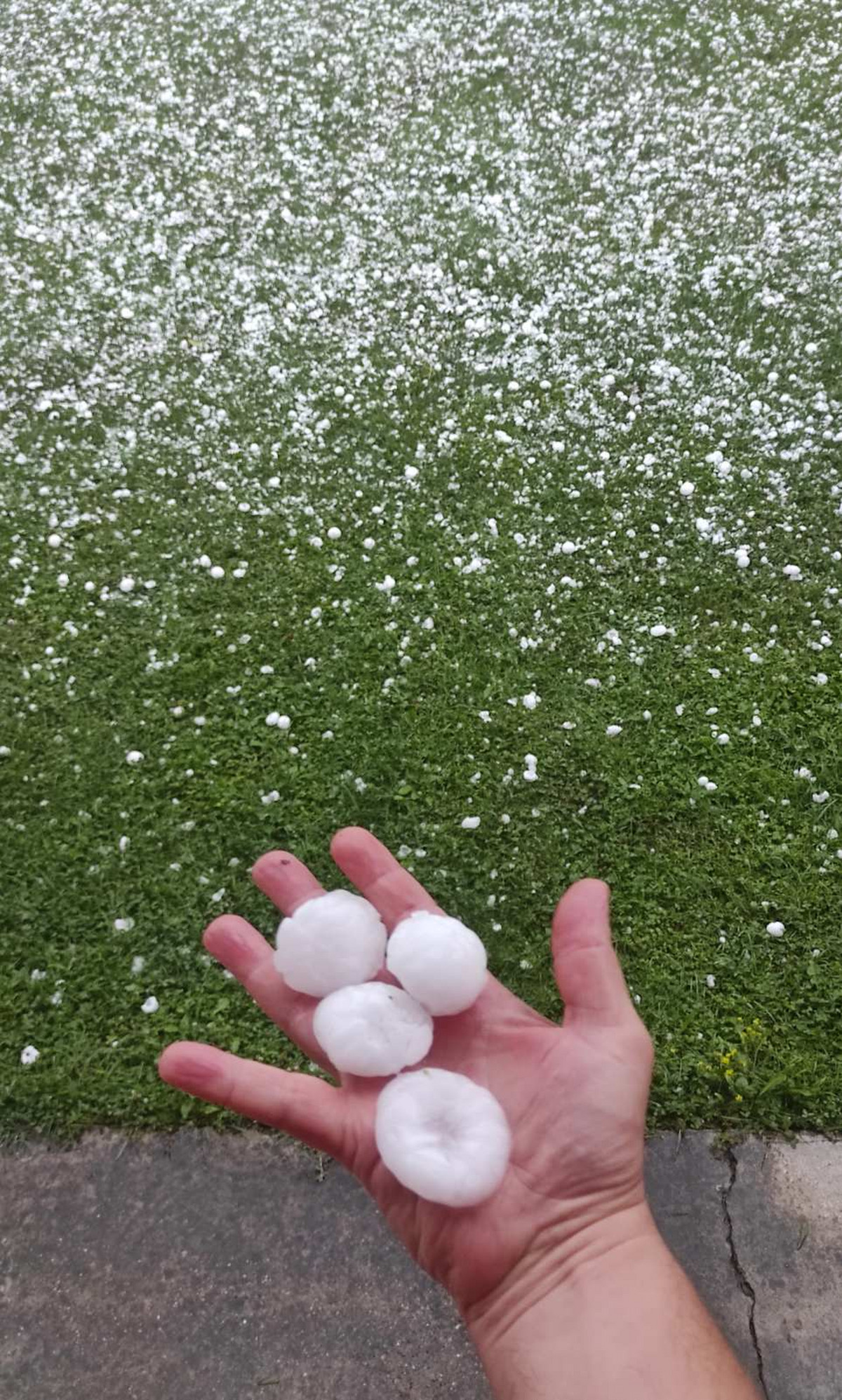 Da nije bilo mreže na prozorima, stakla bi popucala