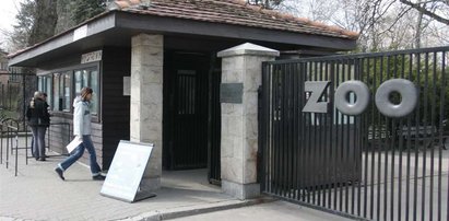 W zoo trują zwierzęta żyletkami