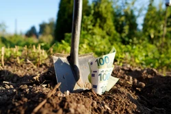 Dofinansowanie do ogrodu: Jak uzyskać nawet 20 tys. zł na ogród w 2025 roku?