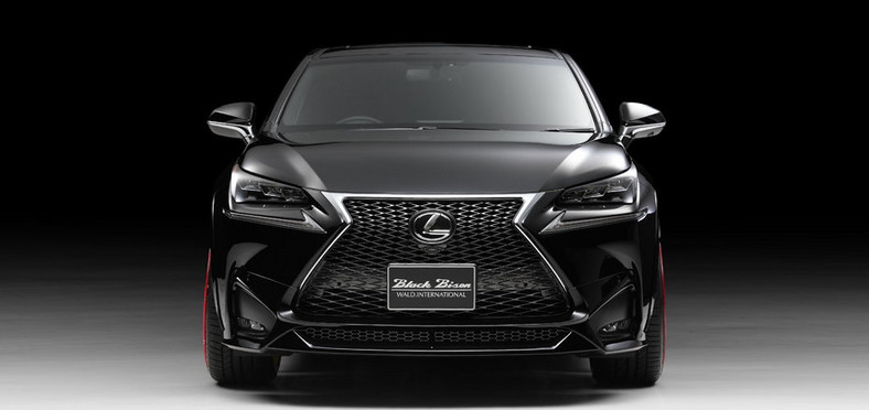 Lexus NX Black Bison