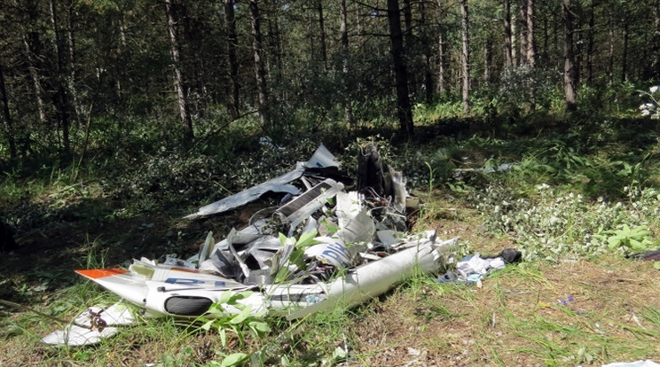 A keresőcsapatok egy erdős részen bukkantak rá a roncsra. A gép darabjai több méter sugarú körben szóródtak szét /Fotó: police.hu
