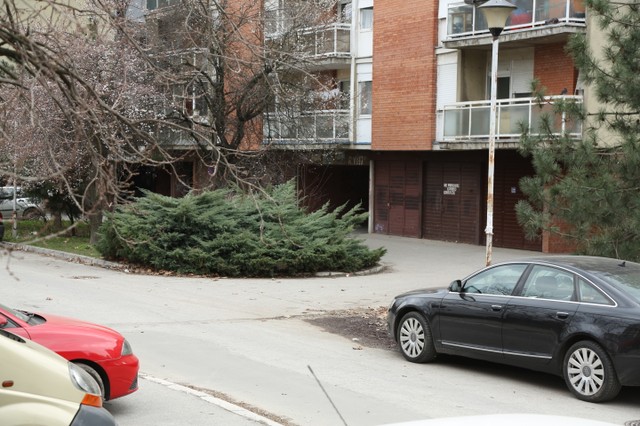 The bush in which the body of the murdered young man was found