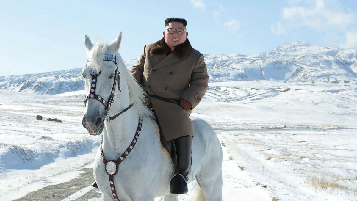 Białe konie za broń dla Rosji. Kim Dzong Un miał zawrzeć umowę