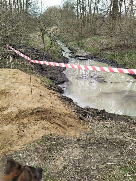 Rzeka Olechówka znów zanieczyszczona