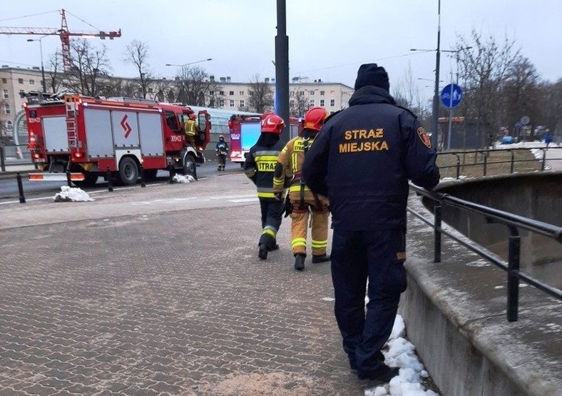 Straż pomogła mężczyźnie, który wpadł do wybiegu