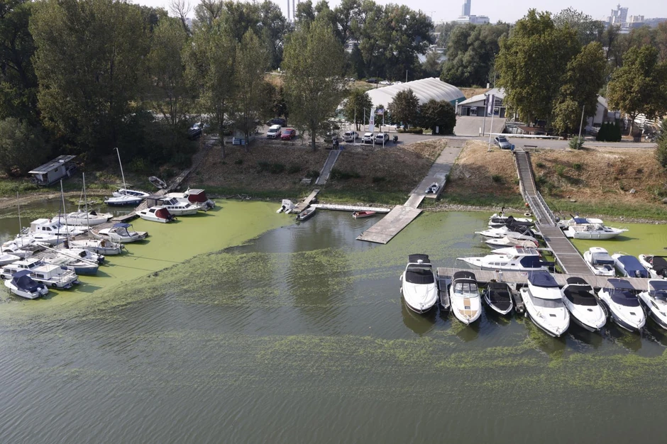 Reka Sava u Beogradu