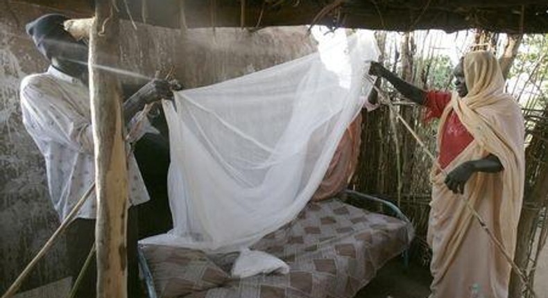 U.S. charges Burkina Faso man with fraud over bogus malaria nets