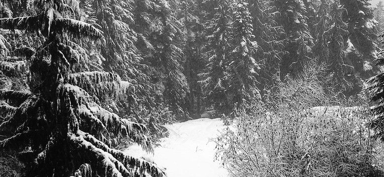 Idealna alternatywa dla Zakopanego? Oto podhalański azyl z najpiękniejszym widokiem na Tatry
