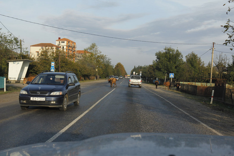 Auto Świat 4x4 Expedition: toast za Gruzję