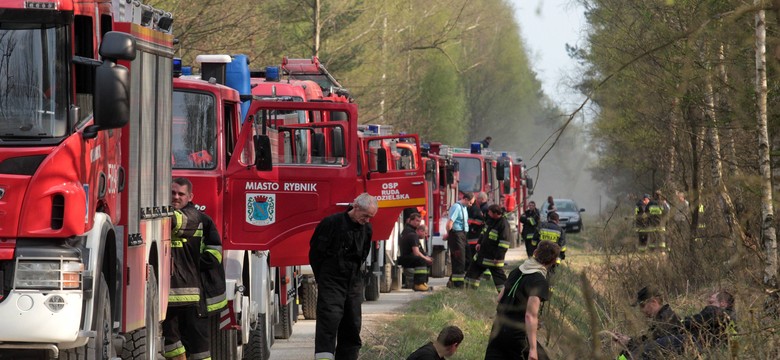 Wielkie pożary lasów. Na południu kraju grasuje podpalacz?