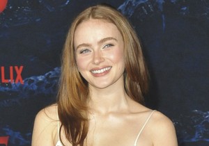 Sejdi Sink