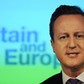 David Cameron UE referendum