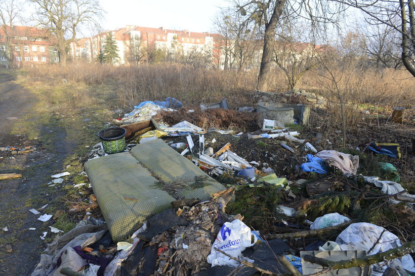 Dziekie wysypisko śmieci przy Skarbowców