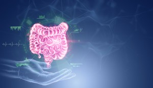 Inflamatorne bolesti creva
